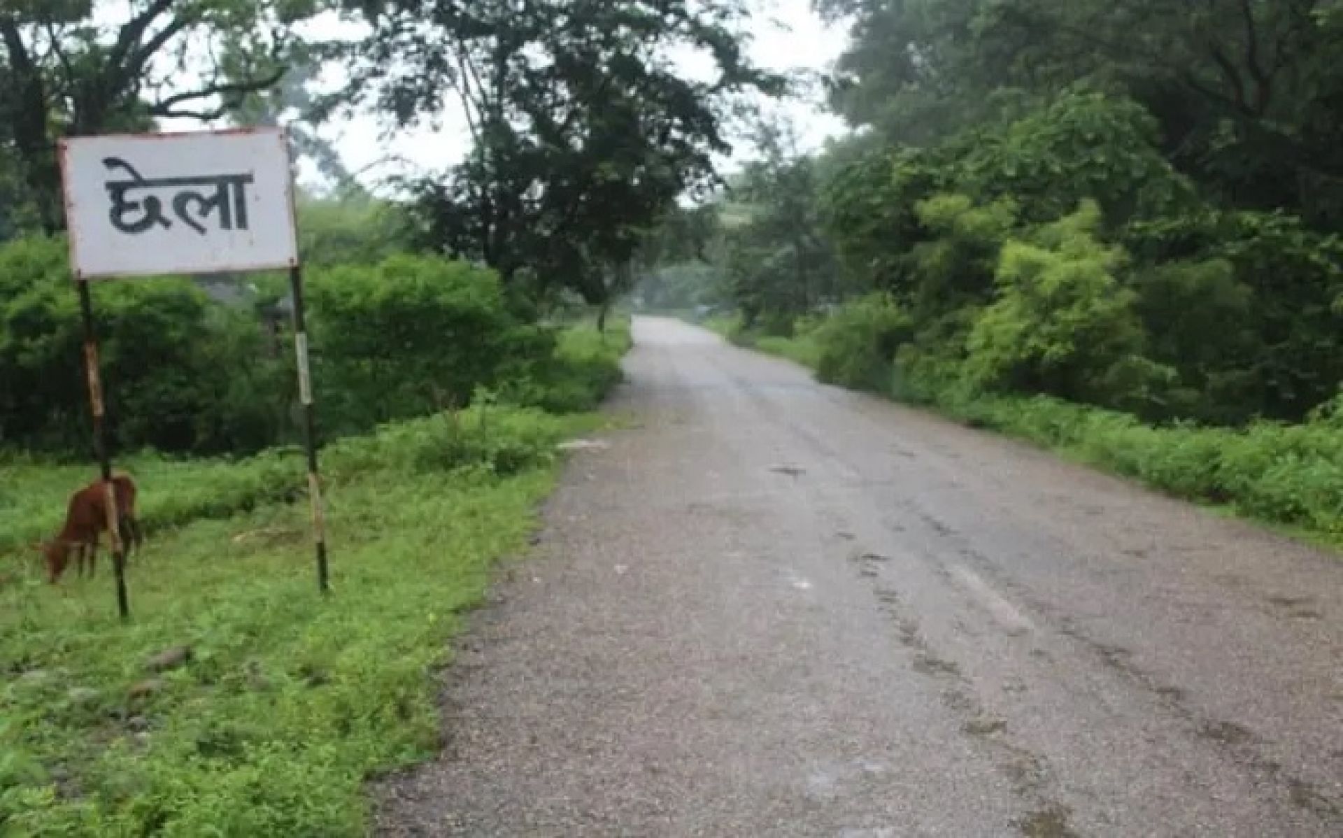 दैजी छेला औद्योगिक क्षेत्रः प्रस्ताव भएको २८ वर्षपछि रुखको लगत संकलन 